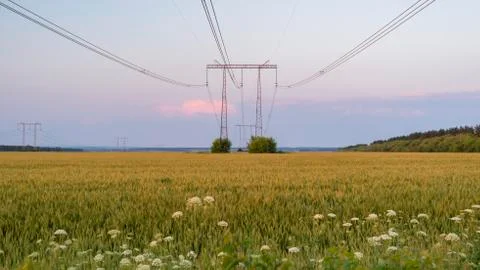 Power lines at sunset in the field Stock Photos
