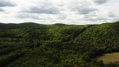 Power Lines Through Trees Alt Stock Footage 195303754