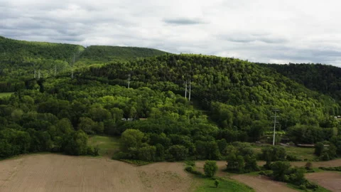 Power Lines Through Trees Stock Footage 195303617