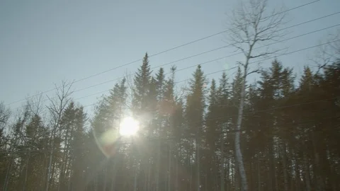 Power Lines with trees and sun shining through, driving gimbal shot, 4k Stock Footage 120654316