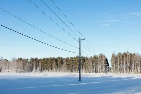 Power lines in winter. Stock Photos