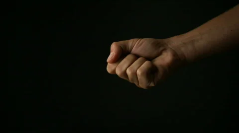 Power in the palm of your hand 库存影片 446552