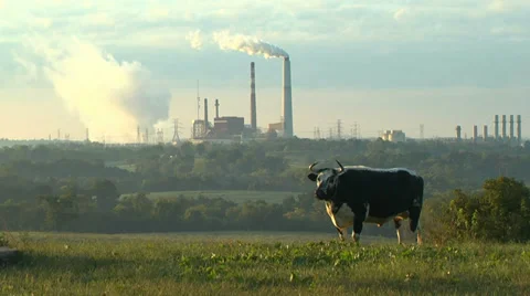 Power Plant with One Ox. Global warming concern Stock Footage 30011883