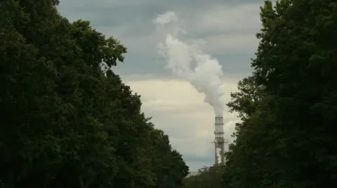 Power plant pollution in trees (Sequence) 库存影片 11140169