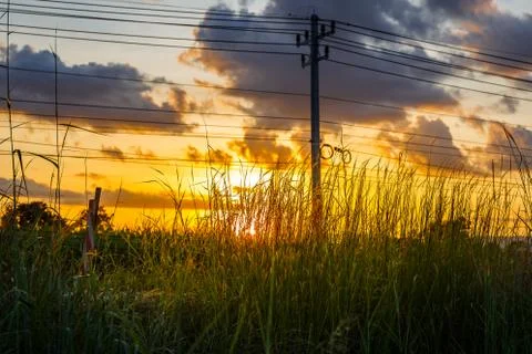 Power pole on the grass at sunset. Fotos Stock