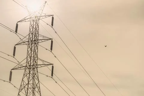 Power poles lined up in the sky without the sun. Stock Photos