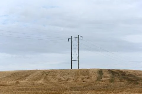 Power poles 库存照片