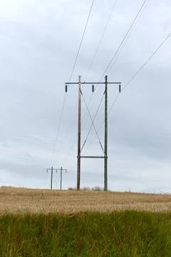 Power poles 库存照片