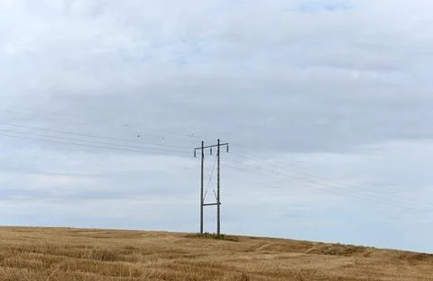 Power poles Foto stock