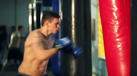 Power punch.  Half length shot of a professional boxer exercising at the boxi Stock-Footage 58556432