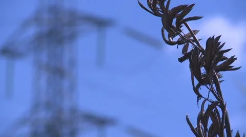 Power pylon to plant rack focus Stock Footage 8954793