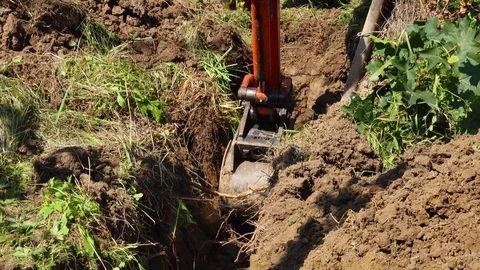 A power shovel digging a pit in a lawn Stock Footage 95591485