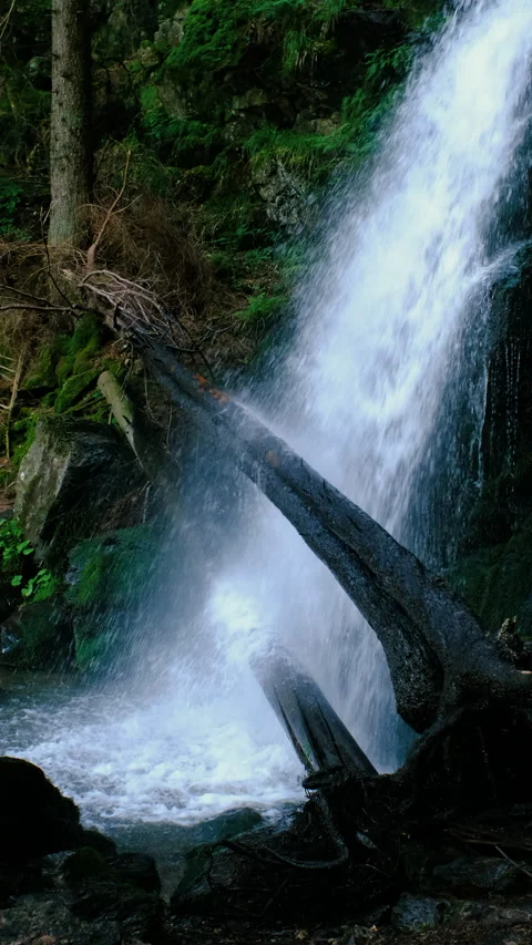 Power stream of a waterfall in a dark forest  Stock Footage 280204448