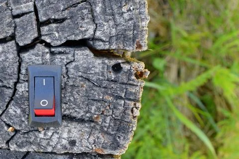 Power switch inserted to deadwood Stock Photos