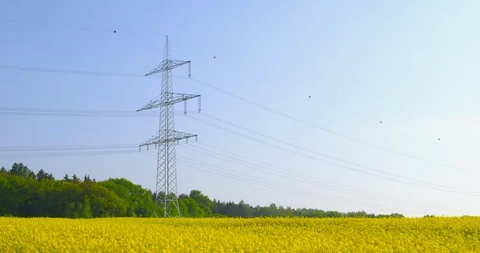 Power tower of an overhead power line leading through a field of rapeseed Vidéo 107775040