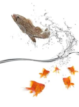 Power of unity Stock Photos