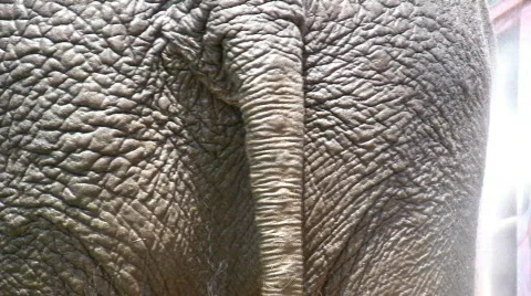 Power wash Stock Footage 80573