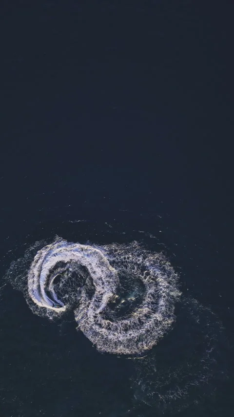 Powerboat turns loop number eight on the sea making infinity future concept Stock Footage 283568161