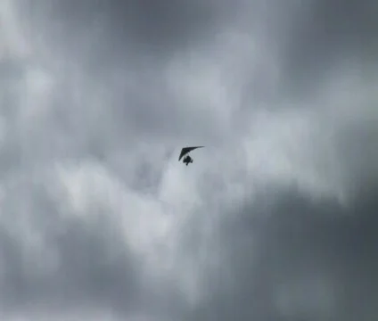 Powered hang glider 12 Видео 357035