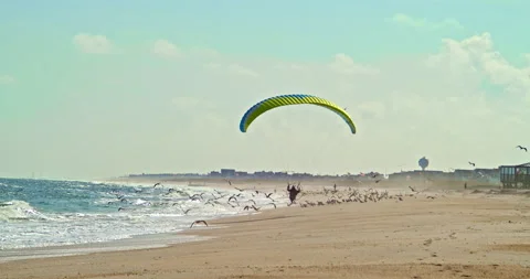 Powered Paragliding, man flys over beach with Powered Paraglider. Vidéo 141702289