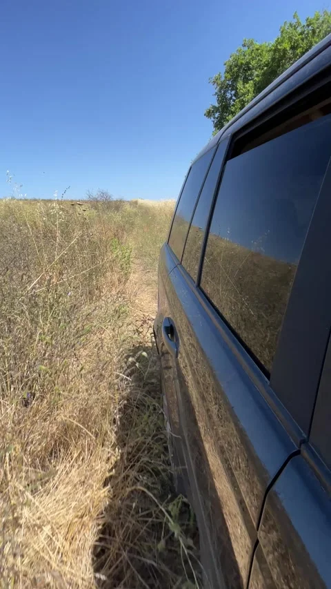 Powerful all-terrain SUV driving off-road through dirt and mud in action scene Video stock 313301243