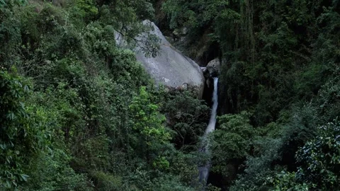 Powerful Bangoru Waterfall In Himalayan Forest Promoting Water Conservation Stock Footage 325668001