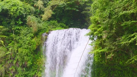 Powerful cascade of Jion Falls rushing down through dense green foliage Stock Footage 341806310