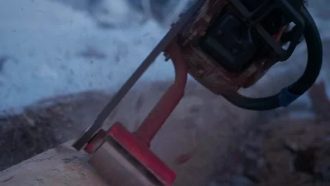 Powerful chainsaw cuts through a thick log in a forest setting Stock Footage 324017706