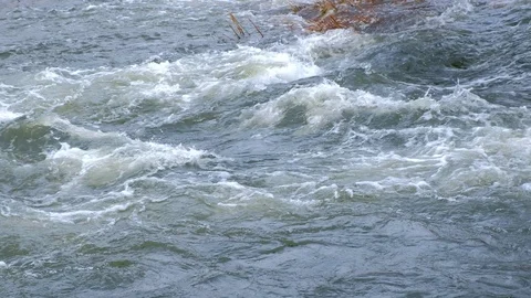 Powerful current in mountain river with foam and clear water, closeup view. Stock Footage 117623644