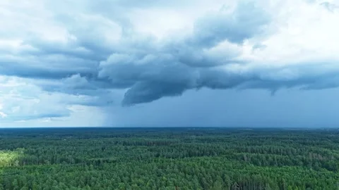 Powerful dark storm clouds forming above woodland landscape, aerial time lapse Vídeo Stock 315218279