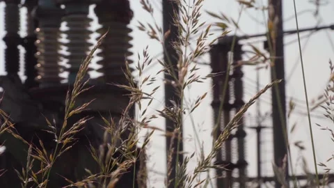 Powerful electrical transmission substation Stock Footage 317913308