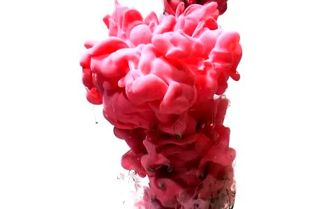 Powerful explosion of paints on a white background. Pink abstract background. Stock Photos
