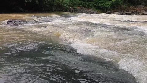 Powerful, fast-moving brown river water surges downstream in the wilderness Stock Footage 321932982