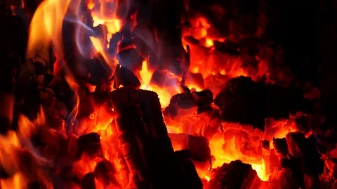 Powerful fire from large burning logs. Stock Footage 84149132