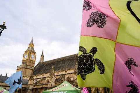 Powerful Flags at XR March Stock Photos
