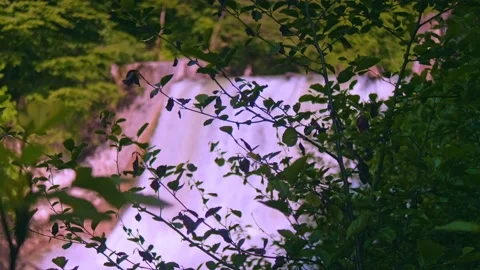 Powerful flow of falling water Stock Footage 234964143