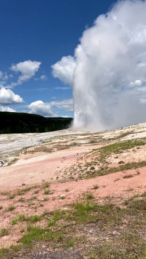 A powerful geyser erupts, shooting a high plume of white steam into a blue sk-22 Stock-Footage 343497947