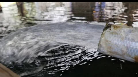 Powerful High-Pressure Water Blast: A Mesmerizing Flow Video stock 331003403