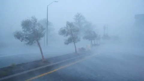 Powerful Hurricane Makes Landfall and Blows Trees Stock Footage 124550895