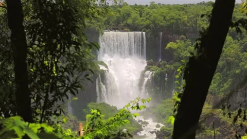 Powerful Iguazu Falls cascading into the rainforest of South America Stock-Footage 335199854