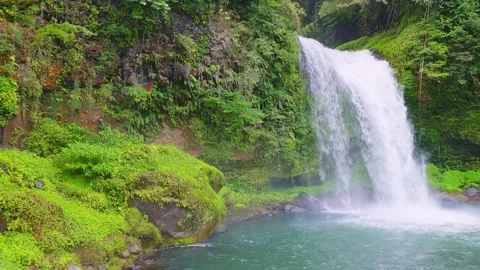 Powerful Jion Falls cascading past mossy rock cliffs into basin 動画素材 341806336