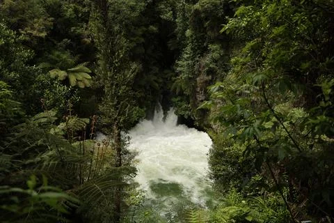 Powerful Jungle Waterfall Surrounded Dense Foliage Stock-Fotos