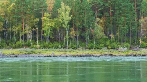 Powerful mountain river with a fast current. Stockbeeldmateriaal 258813248