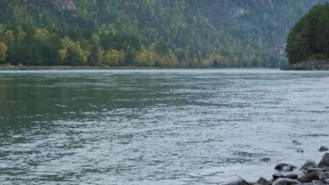 Powerful mountain river with a fast current. 動画素材 258813500