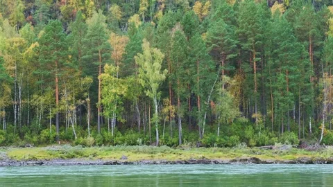 Powerful mountain river with a fast current. Stock Footage 259637746