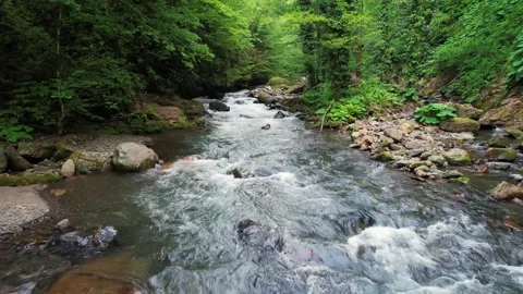 Powerful Mountain River Rapids in Deep Green Forest. Wild Nature Landscape. Stock Footage 335768674