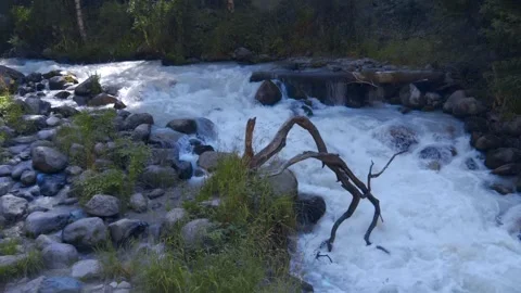 Powerful mountain river stream cascades over the rounded stones Stock Footage 318719703
