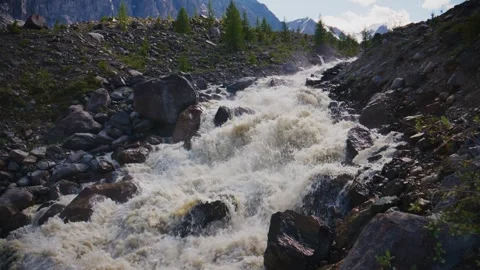 Powerful mountain stream surges between dark boulders and forested hillsides 库存影片 333101939