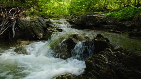 Powerful mountain water stream or river runs down hill in summer Stock Footage 329571119