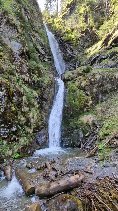 Powerful Mountain Waterfall in Untouched Nature Video stock 312216319